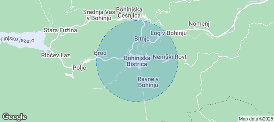 Discover Bohinjska Bistrica Airbnb Analytics